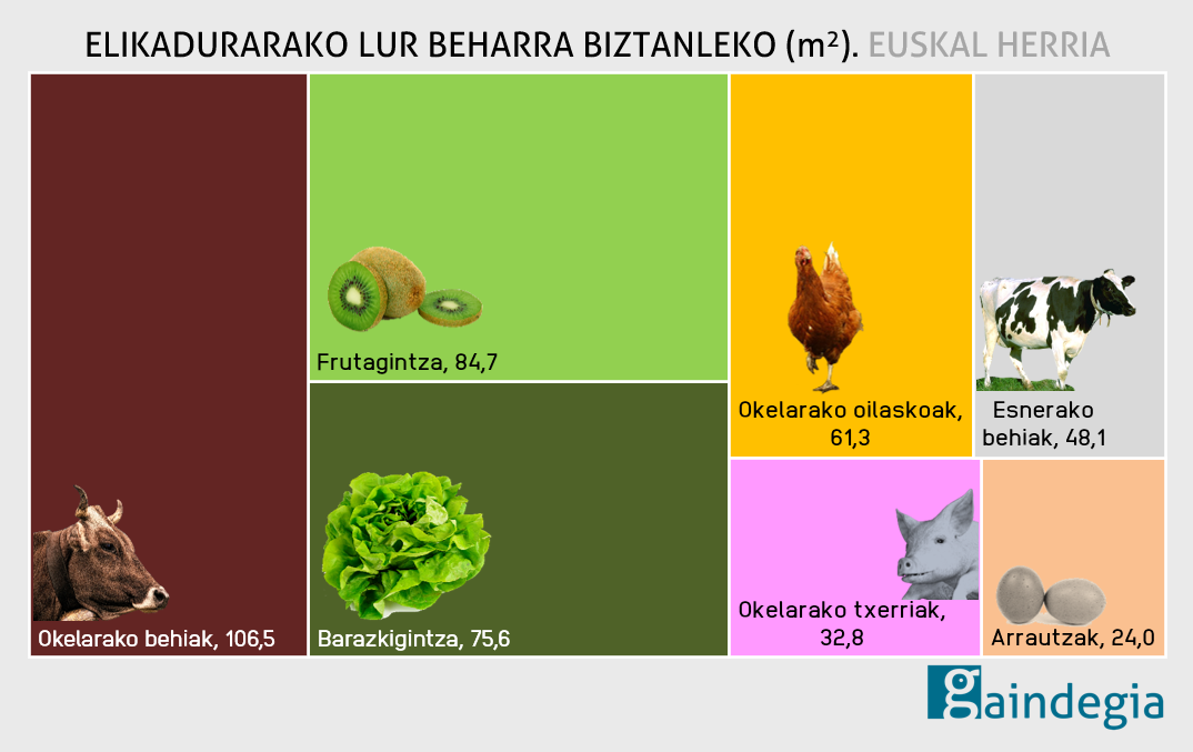 Euskal herritarrek Nafarroa Beherea bezainbeste lur behar dute elikatzeko