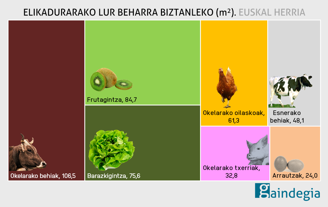 Elikadurarako lur beharra biztanleko