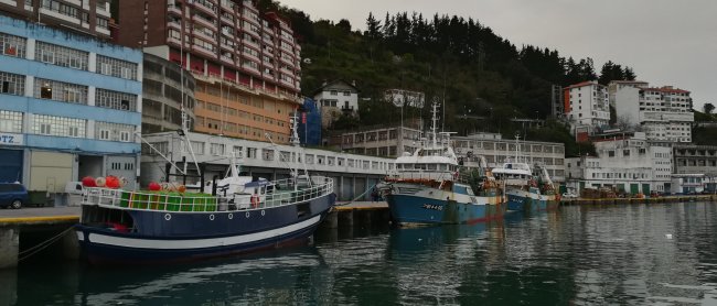 Itsasoa, arrantza eta elikadura (2/4): alturako eta baxurako ontziak euskal portuetako ardatz